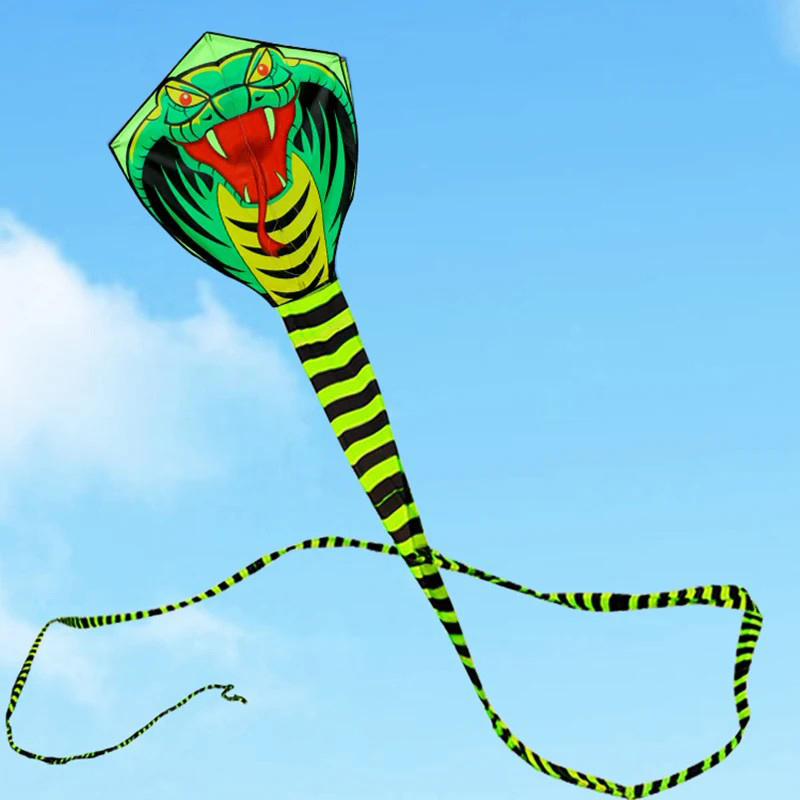 Outdoor Sport Outlet - Cerf-volant serpent Paradise Bird 8m/15m avec