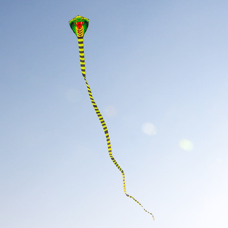 Cerf-volant serpent Paradise B - Outdoor Sport Outlet avis et prix